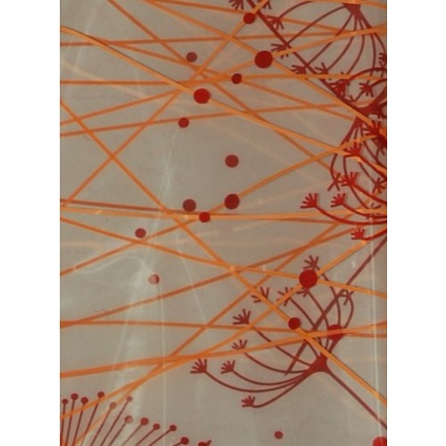 Celofan transparent cu flori 100x130 Celofan transparent cu flori 100x130